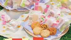 季節限定商品『ふるさと旅めぐり』