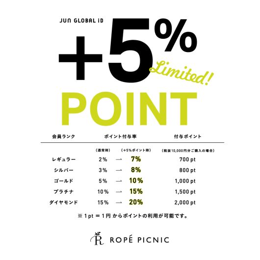 +5%POINTUP