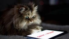 JINS HOME® × Netflix