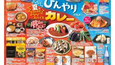 食品祭(ひんやりグルメ＆カレー)