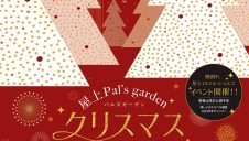 屋上Pal’s garden クリスマスイルミネーション開催