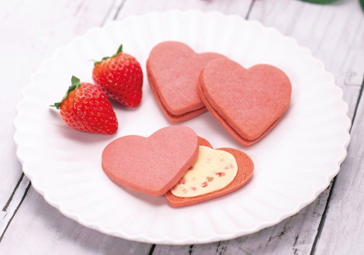 ショップニュース