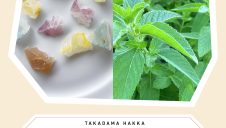 期間限定SHOP『高擶薄荷(タカダマハッカ)』OPEN！