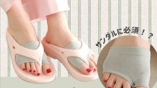 今月の推しソックス