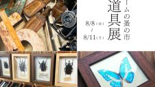 期間限定SHOP『ザ・スタディルームの蚤の市　むしと古道具展』OPEN！