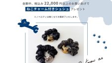 ねこねこフェアのお知らせ！