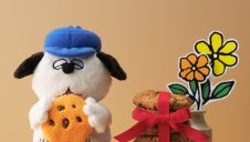 PEANUTS新作コレクション！