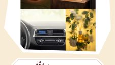 期間限定SHOP『カメヤマキャンドルハウス』OPEN！