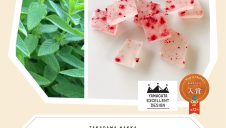 期間限定SHOP『高擶薄荷』OPEN！