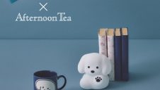 てらおかなつみとコラボレーション！