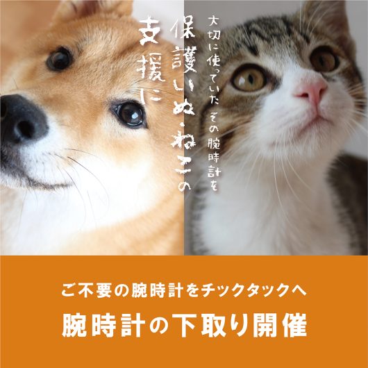 下取りキャンペーン「保護いぬ・ねこ支援」