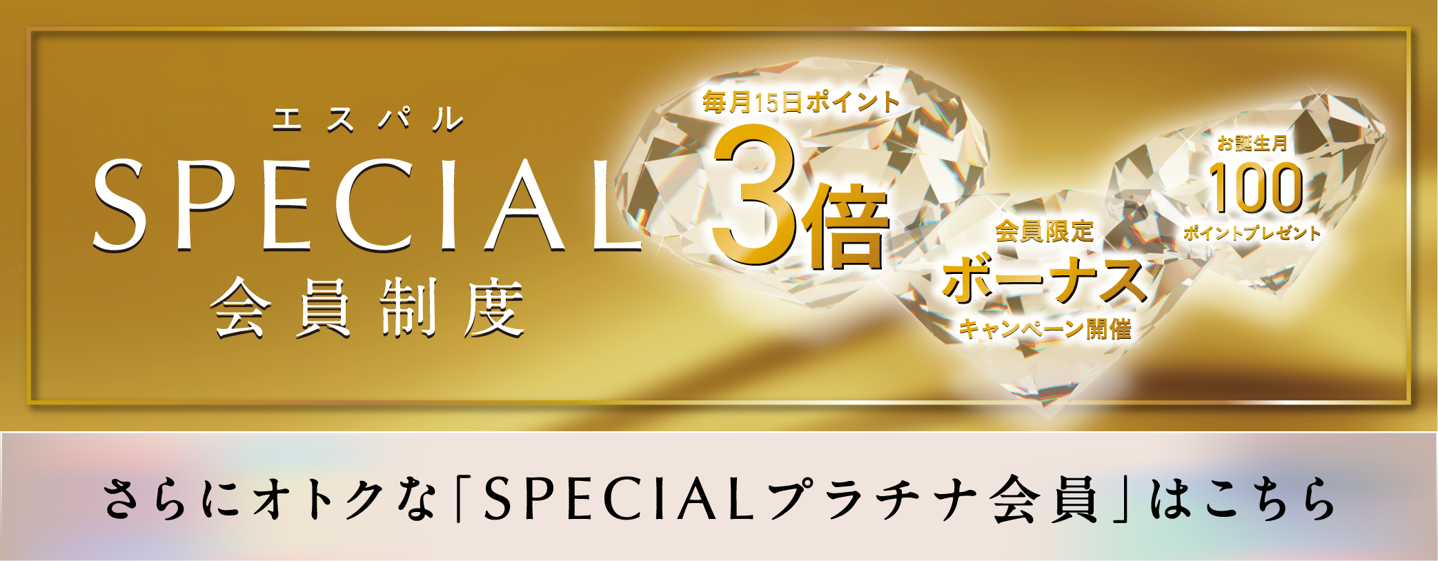 SPECIAL会員