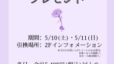 母の日 カーネーション プレゼント