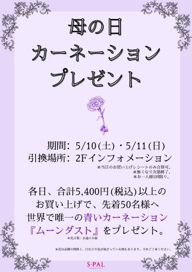 母の日 カーネーション プレゼント