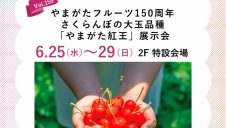 やまがたフルーツ150周年『さくらんぼの大玉品種「やまがた紅王」展示会』