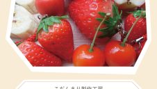 6/13(金)～「こぢんまり製作工房」食品サンプルストラップ展示即売会