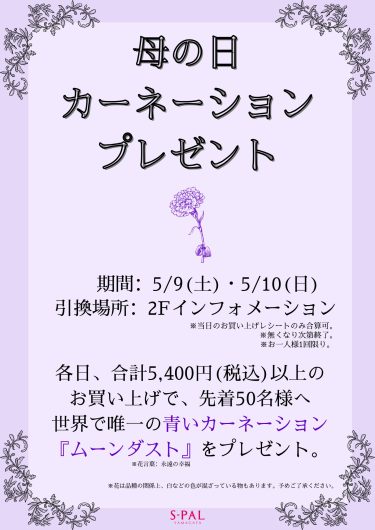 母の日カーネーションプレゼント