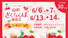 6/6(土)～ さくらんぼ抽選会🍒
