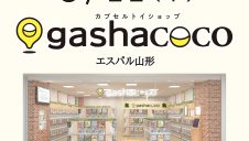 【6/11(木)】ガシャココNEW OPEN